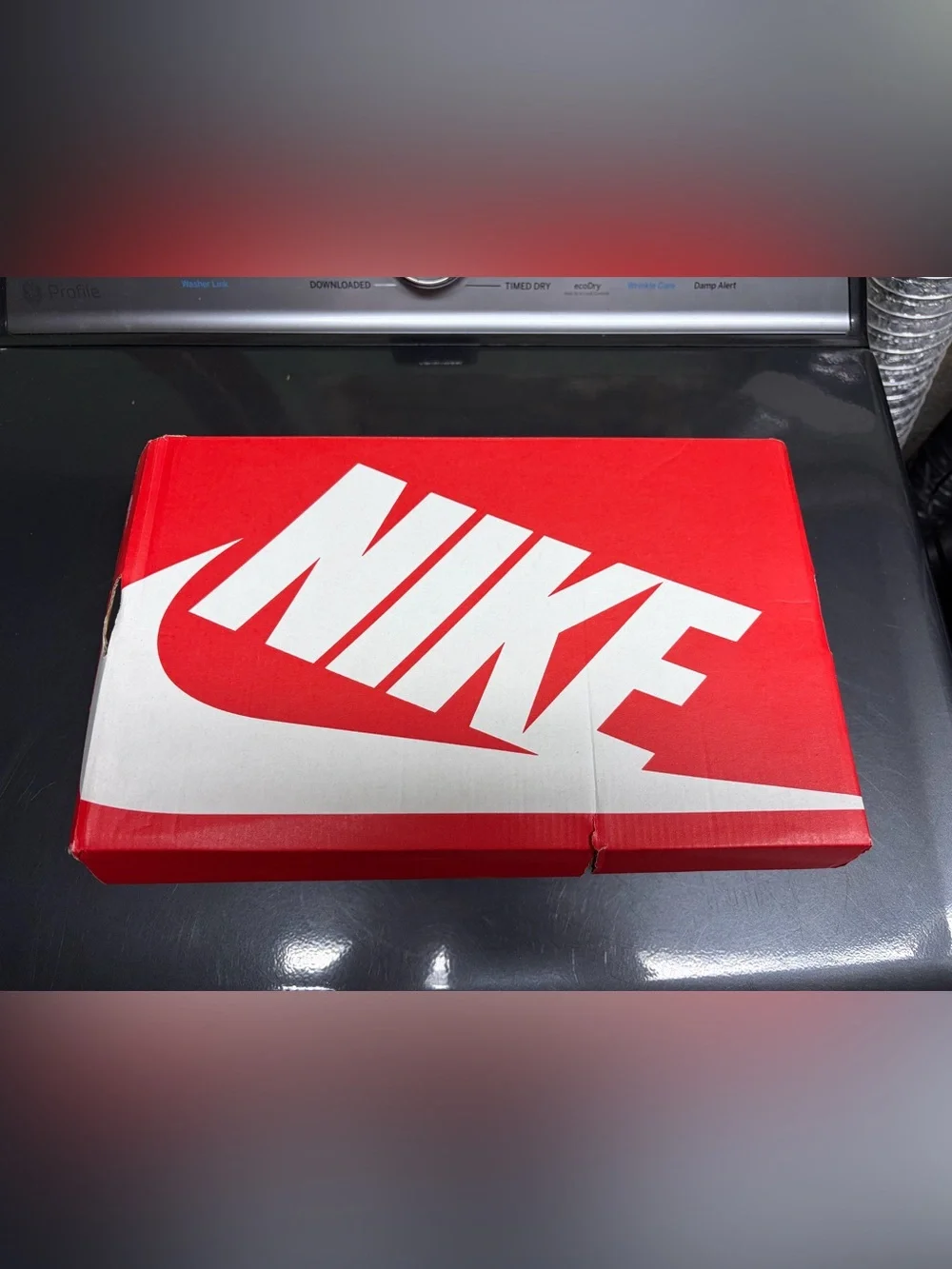 Nike Dunk Low 